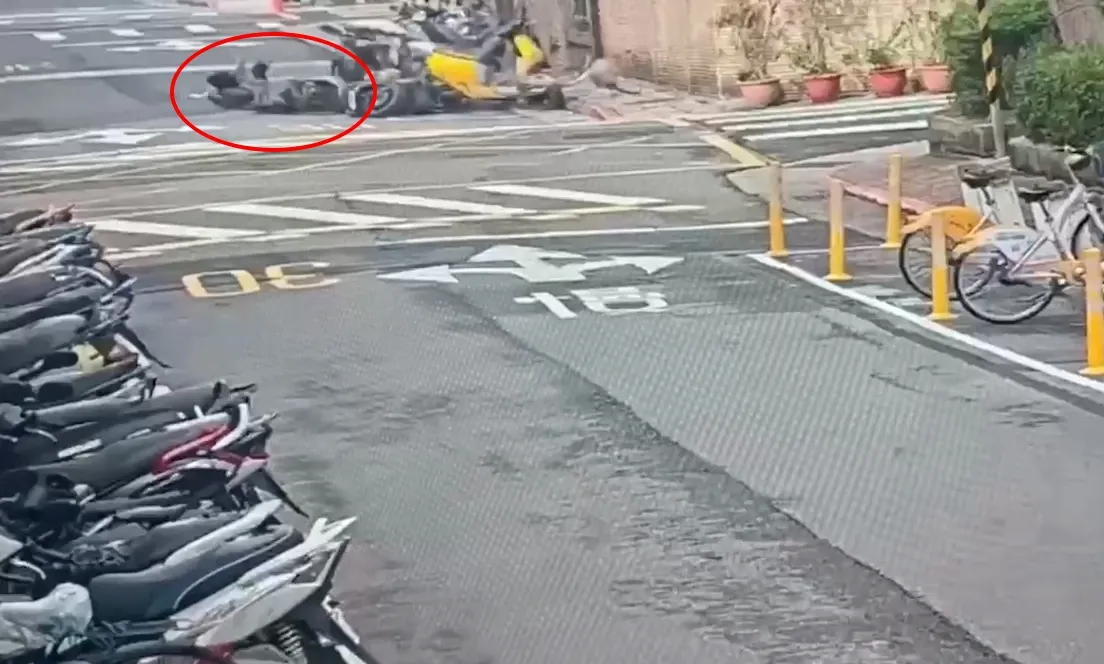 北市酒驾骑士刷路边整排车　逃逸又折返「扶正」！被到场警逮正著