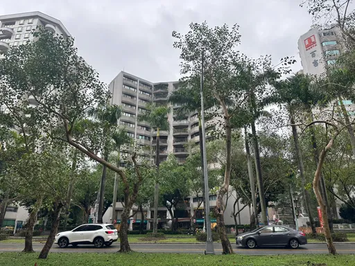 老歸老身價高人一等　北市30年總價7000萬元屋單坪成交百萬