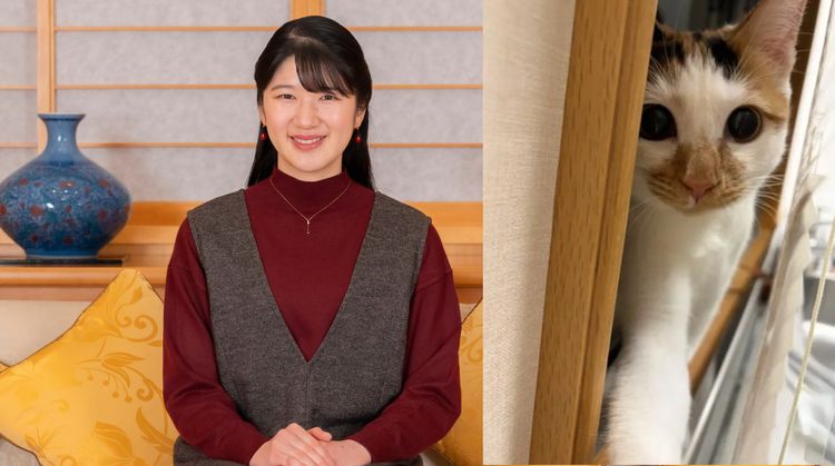 貓奴＋1！日本愛子公主滿24歲　新認養害羞三花貓「美海」曝光