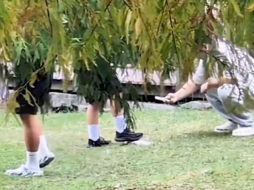 公园生态池捞鱼还踩踏！高中生无良恶搞　这种行为可罚这么多钱