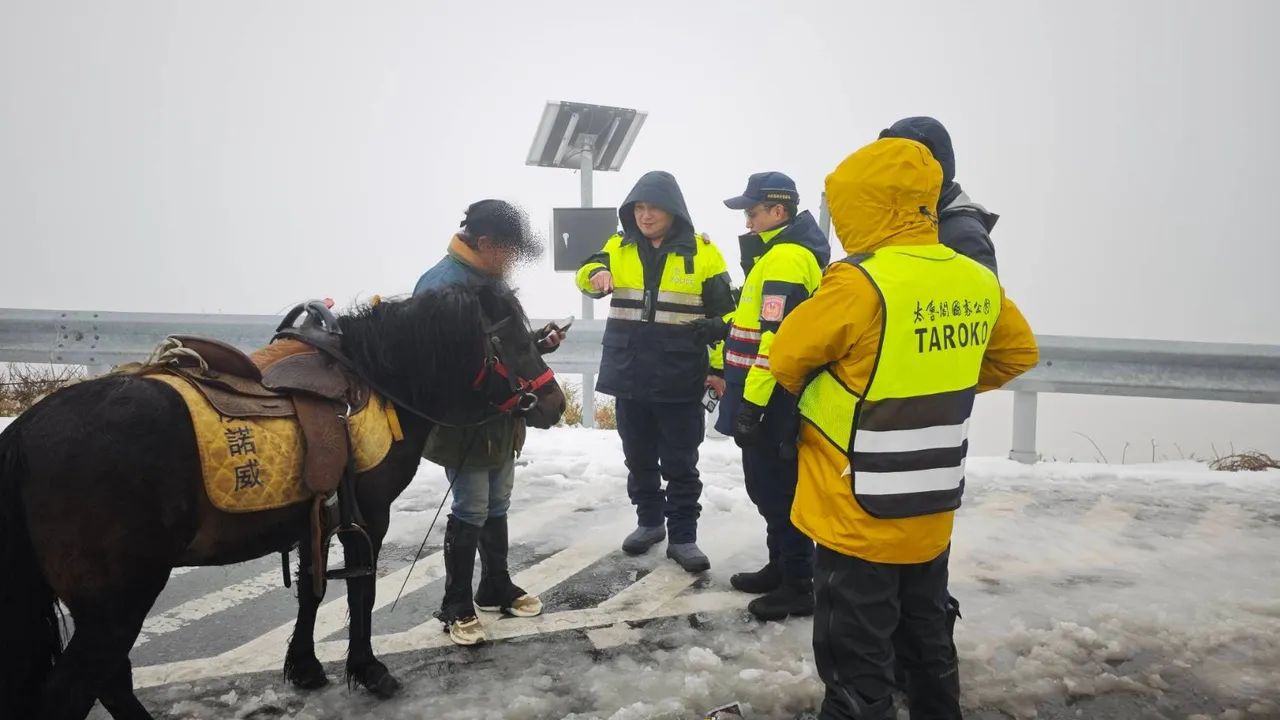 他骑马登合欢山武岭追雪　警察先来开单罚3000元