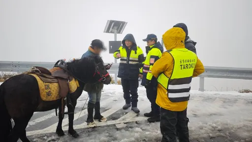 他骑马登合欢山武岭赏雪　违反国家公园法遭开罚3000元