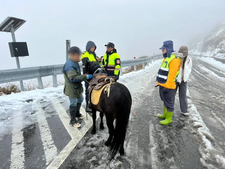 男子騎馬登武嶺雪地遭警取締。太管處提供