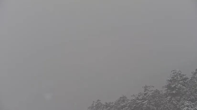 合欢群峰。即时影像监视器