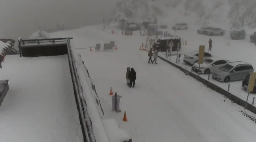 合欢山武岭下雪了！积雪超厚　震撼画面直击