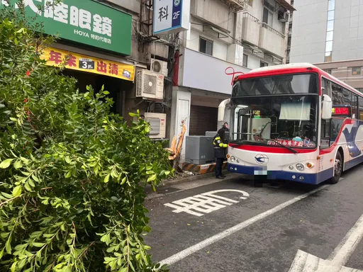 靠边接客失控！新店公车撞断人行道路树　变电箱险遭殃、乘客吓坏画面曝