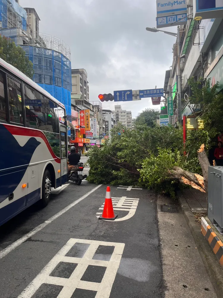 公車撞斷路樹引起民眾圍觀，有人拍照上傳呼籲用路人行經該路段要小心。翻攝畫面