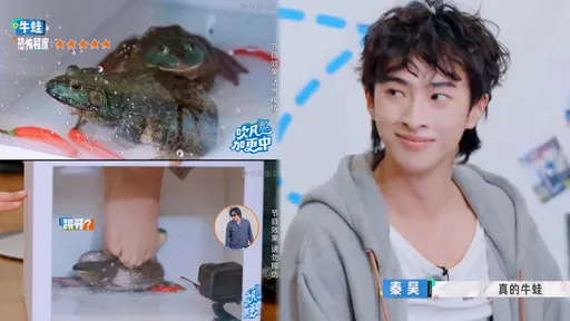 庾恩利綜藝首秀獻秦昊　用腳玩恐怖箱「活牛蛙挨踢」