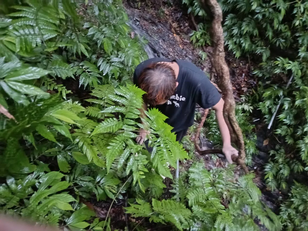 林男爬山时意外滑落边坡，直至2天后才被其他山友发现。翻摄照片
