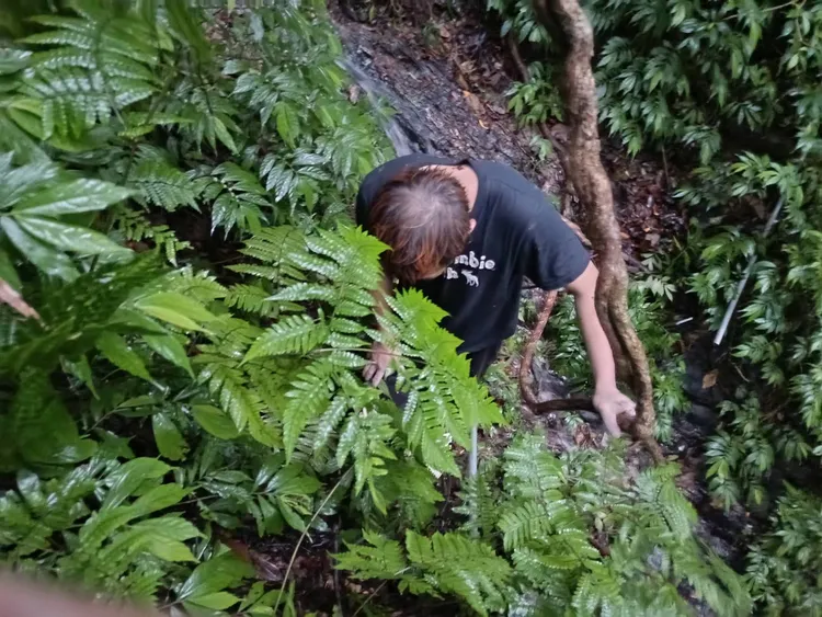 林男爬山時意外滑落邊坡，直至2天後才被其他山友發現。翻攝照片