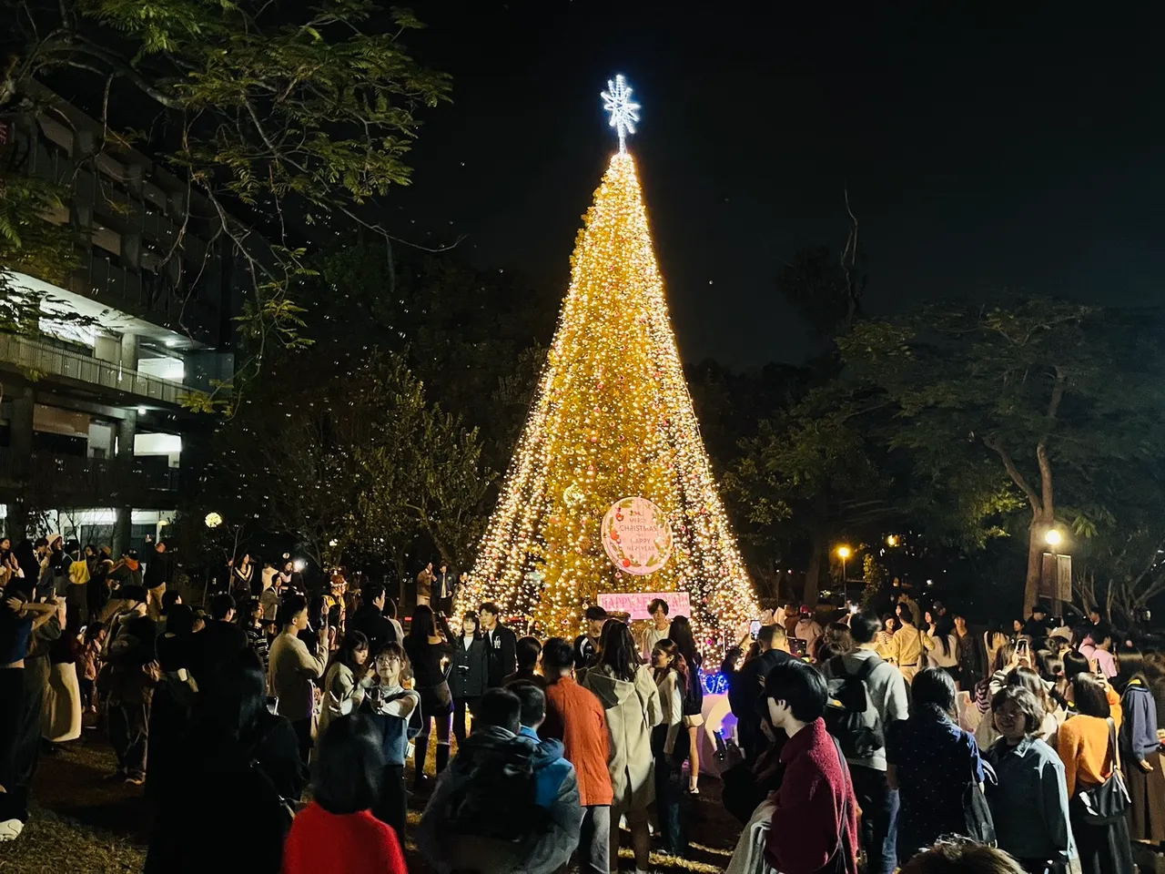 校园内9公尺高的永续圣诞树，成为平安夜打卡热点。东海提供