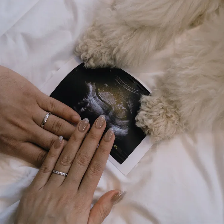 百萬YTR「欸你這週要幹嘛」成員小粉紅才剛凍卵就順利懷孕。翻攝《@littlepink_abby》IG