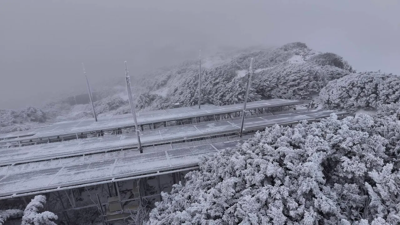 玉山测站今晨再度降雪，积雪深约1.5公分。气象署提供