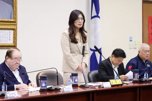  批赖清德「在野独裁说」！ 郑丽文呛「胡言乱语」：就像男生不会生小孩