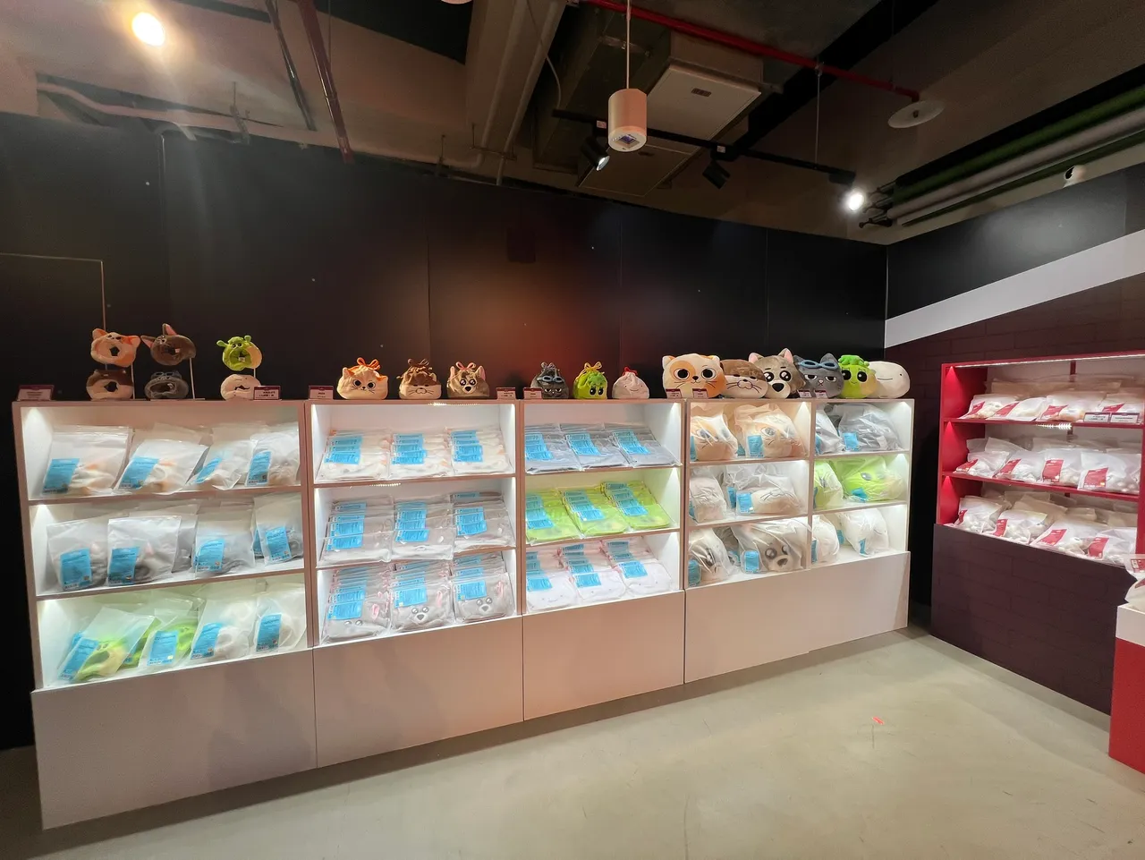 BBNEXDO手灯套、化妆包、抱枕。陈薇安摄