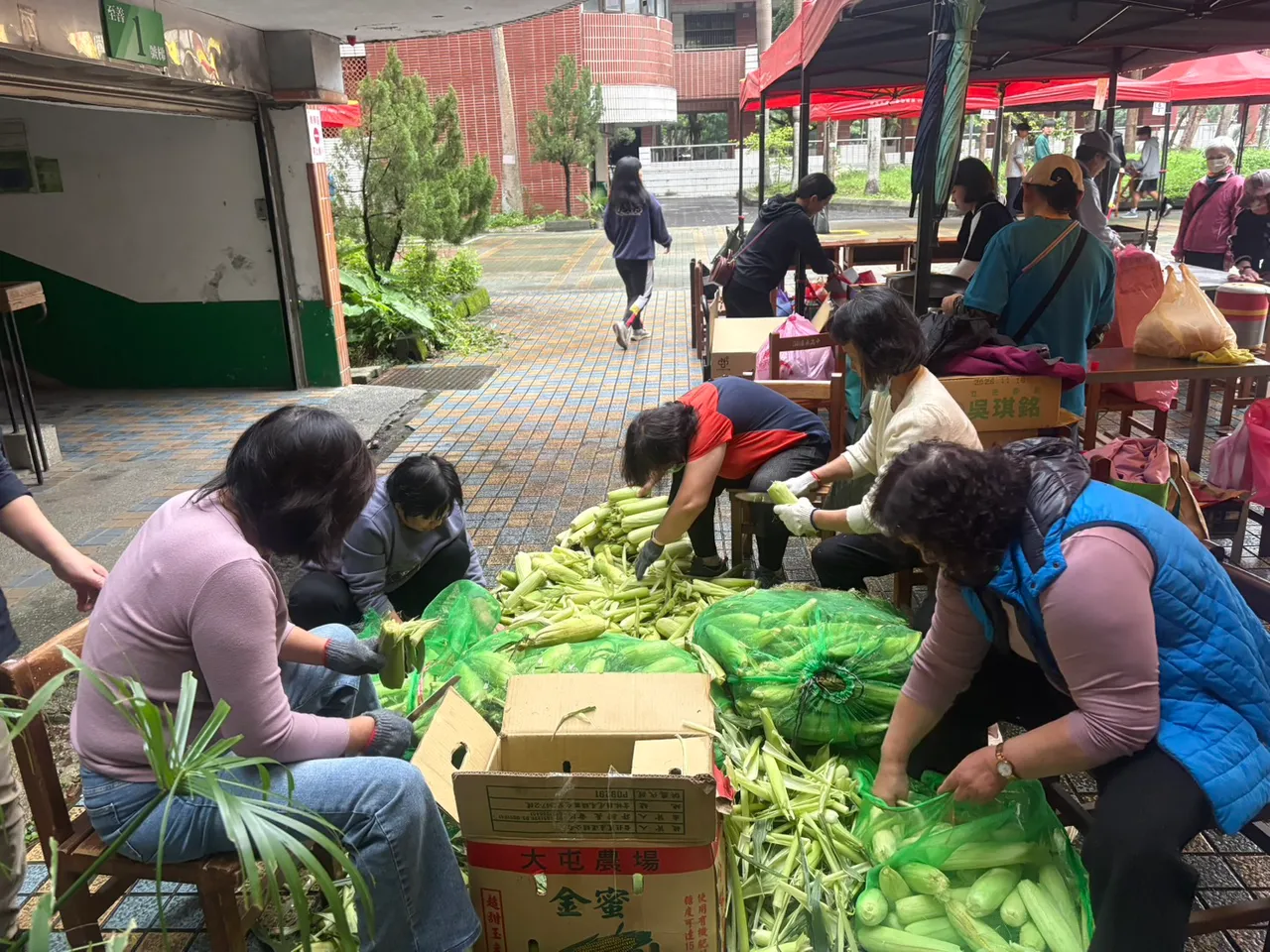 吴升翰从南部运来一车上千斤玉米义卖，盼抛砖引玉，有更多善心支持清中教育基金会助学弱势。翻摄画面