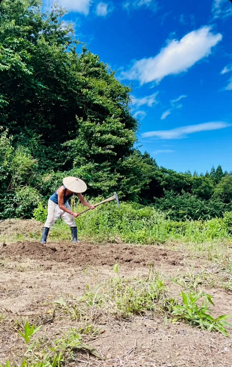 山本一賢在新潟務農。翻攝山本一賢X