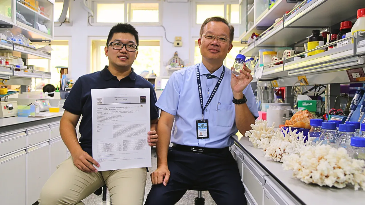 中山大学海洋生物系特聘教授温志宏与生医所博士生张珑研究鹿角珊瑚骨骼。中山大学提供