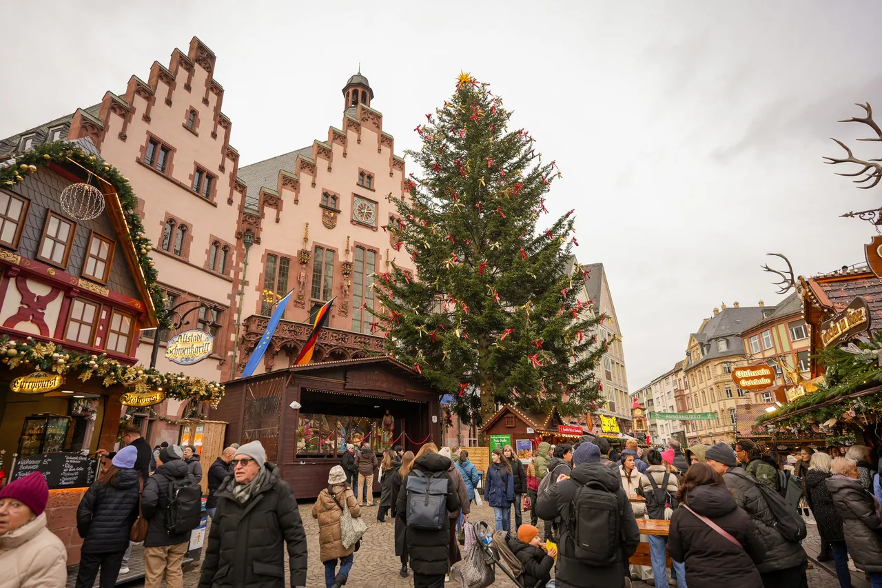 2025年的法兰克福圣诞树被命名为「霍勒夫人(Frau Holle)」。田欣云摄影