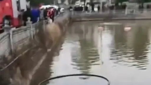 幼儿园8死！女园长私家车载学童　天雨辗淤泥失控坠池塘