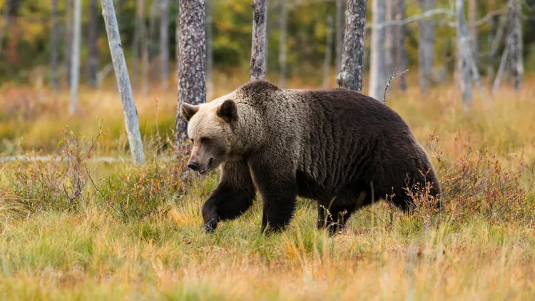 示意图。翻摄自Unsplash