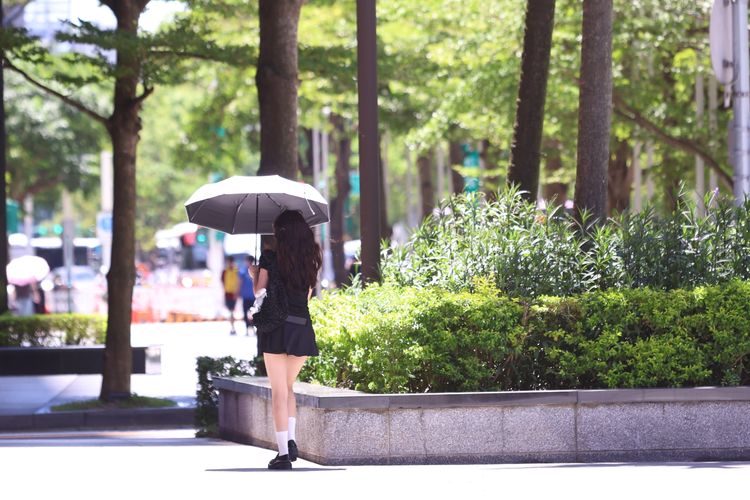 台北內湖過熱!屢飆全台最高溫 專家曝原因「人為熱島效應」