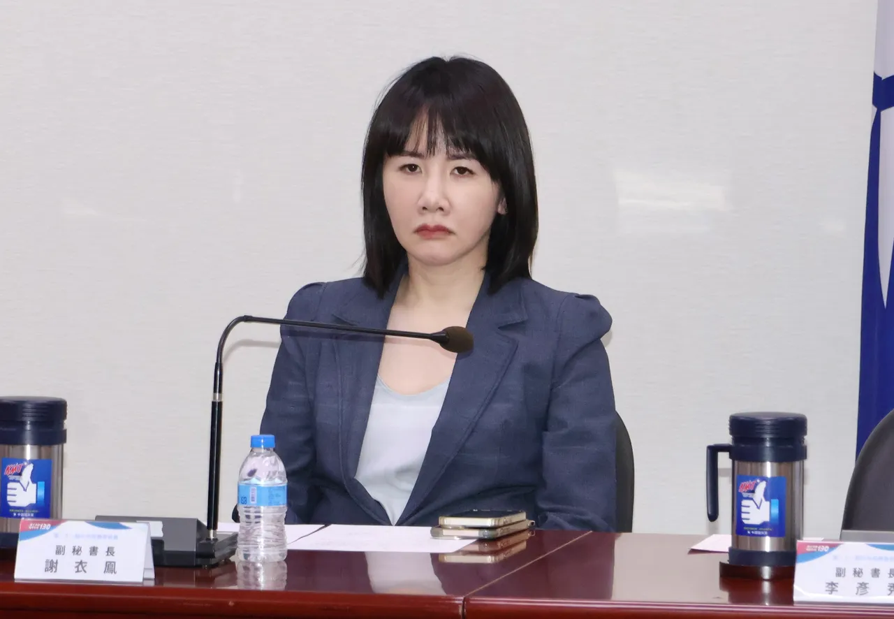 表态参选2026彰化县长！ 谢衣凤：听到众多支持者期待