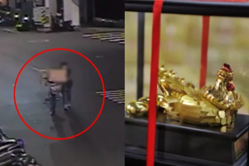 「祈福金鸡」飞了！他好心请拾荒妇入屋资源回收　遭搜刮财物损失近万元