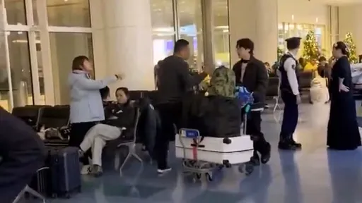 她不甩习近平就要飞日本　在羽田机场飙骂台游客「台湾是中国的」