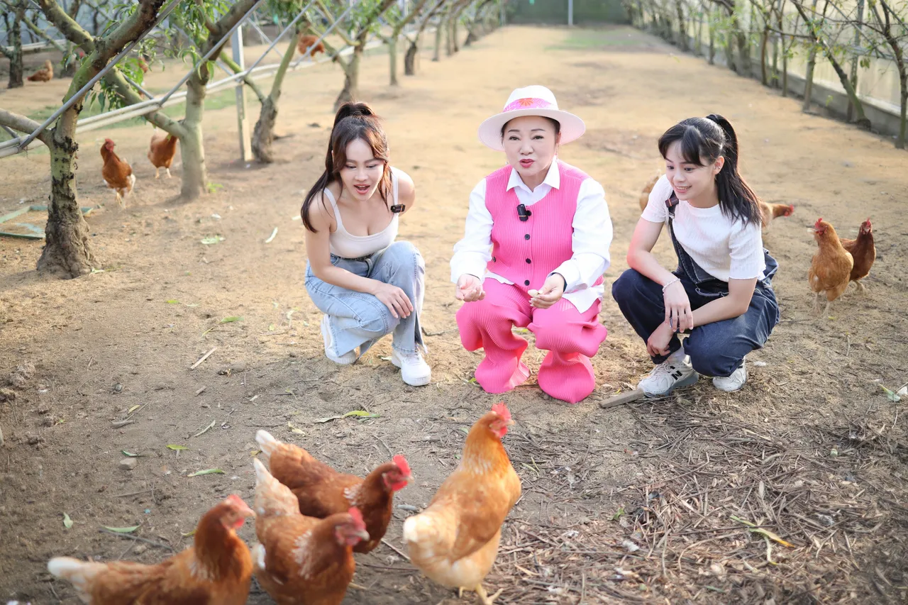 蔡亚露（左起）、白冰冰、胡子萱参观有机水蜜桃园。长兴影视提供