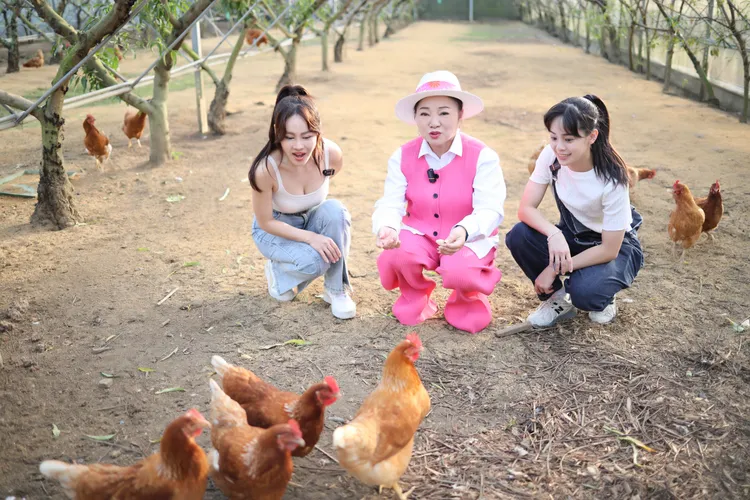 蔡亞露（左起）、白冰冰、胡子萱參觀有機水蜜桃園。長興影視提供