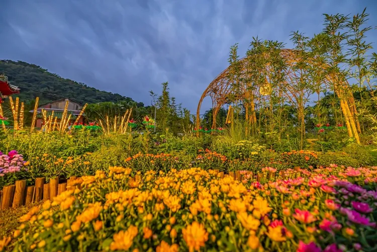 台北市園藝管理所宣布加碼送出200盆展後花卉。台北市工務局提供