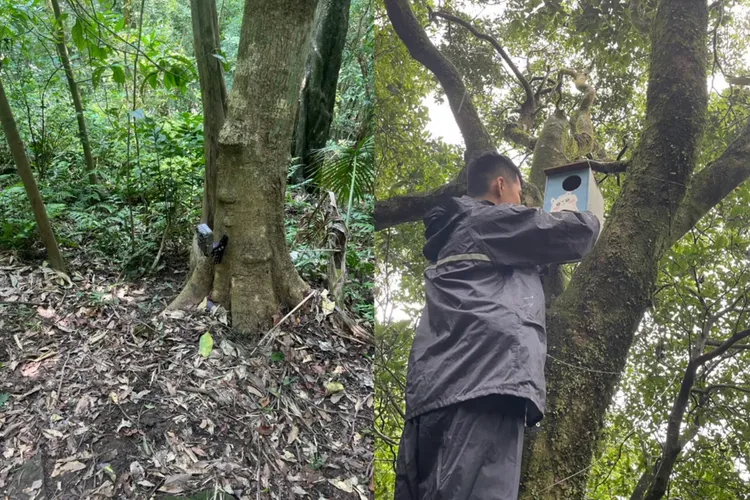 台师大生态调查人员至大尖山架设红外线照相机。宏碁提供