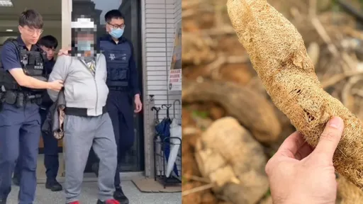 怀疑遭乱倒农药「心血全毁了！」　林口莽汉菜园旁4刀刺胸怒杀老农