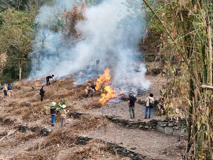 2026年寒假期間，中山大學將開設「原民知識與實作」，日本高知大學師生寒假期間來臺，與中山師生一同至部落實地研究原民燒墾知識。中山提供