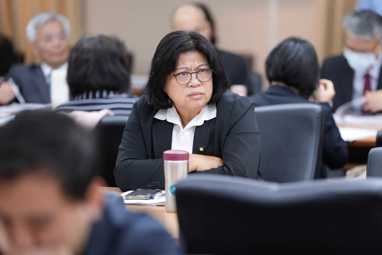 民進黨嘉義市立委王美惠。彭欣偉攝