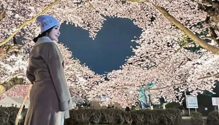 陳美鳳先前到青森錄節目和美麗櫻花合影。翻攝自陳美鳳臉書