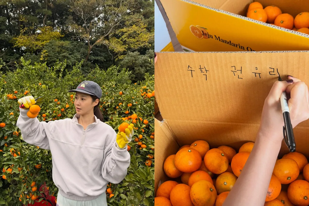 俞利移居济州岛生活，当年轻农夫收成橘子送粉丝。翻摄俞利IG