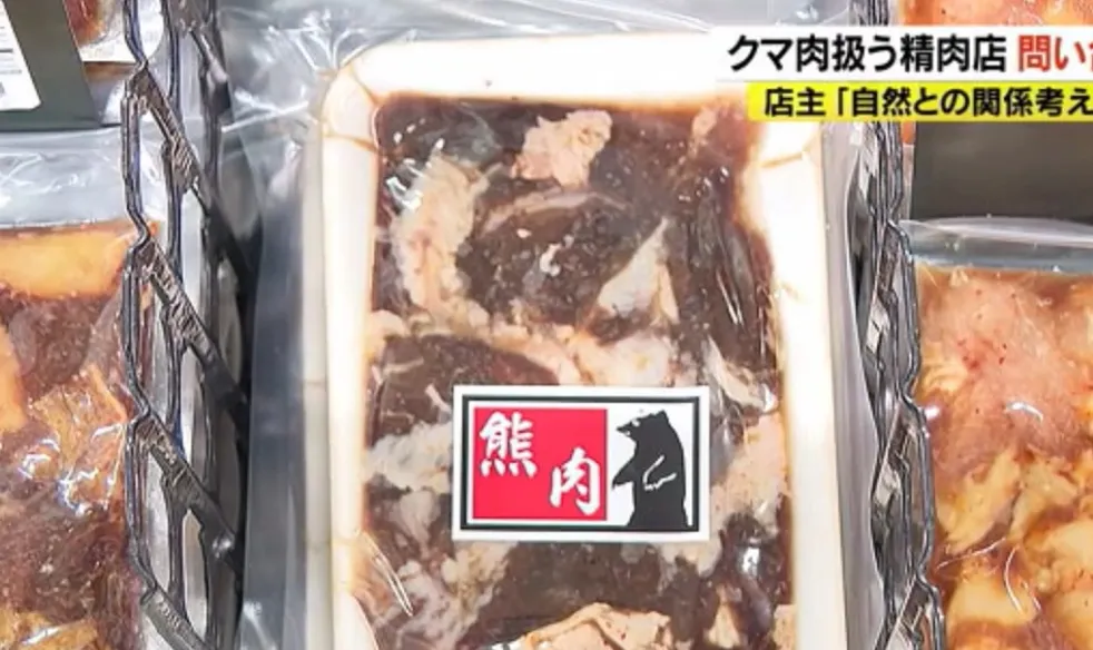日本「熊害」有解？肉质油脂属上乘　店家询问度大增