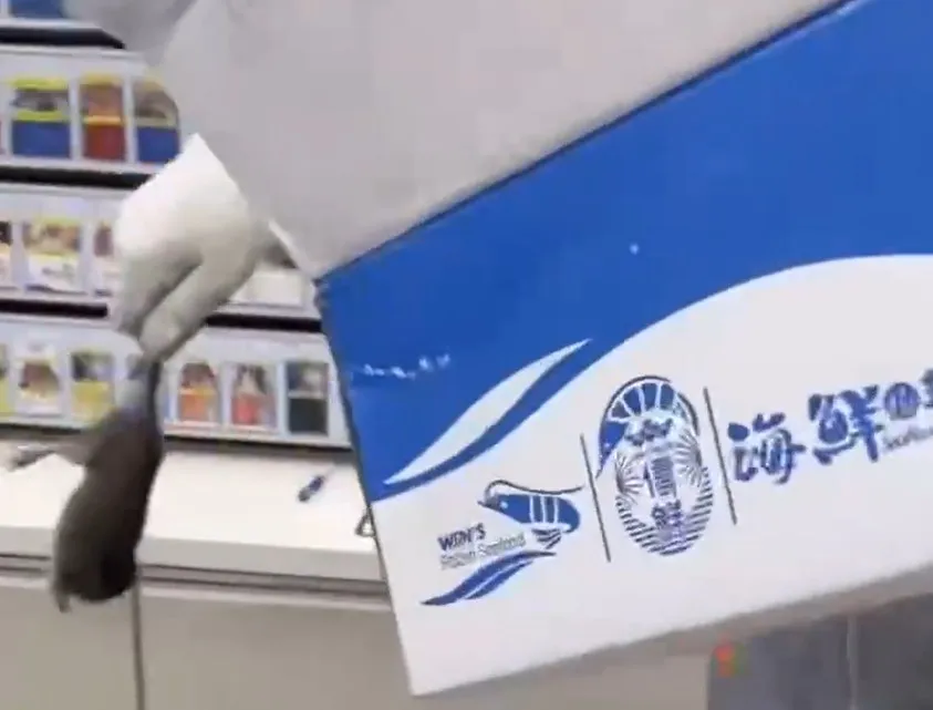 超商店員「黑輪」要友人「阿皓」幫忙，準備將老鼠裝箱。爆料人提供