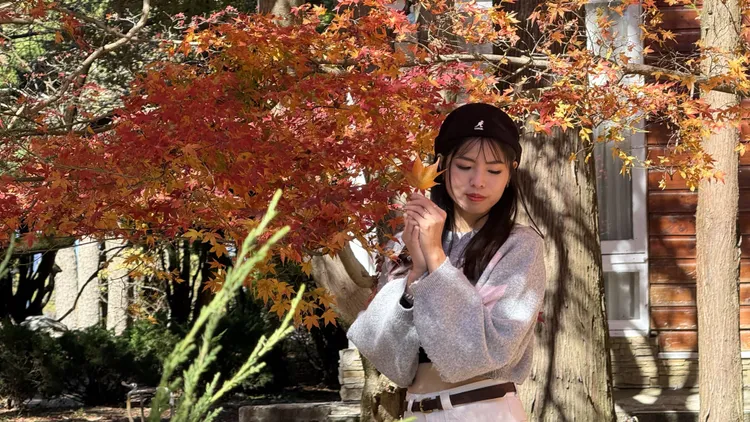 福壽山農場松廬的楓葉陸續轉紅，不少遊客到此欣賞楓葉美景。業者提供