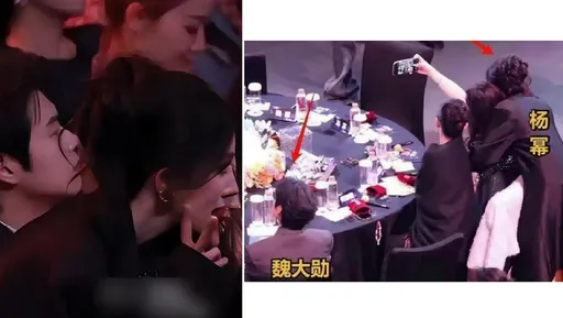 杨幂「强碰」前任魏大勋他动都不敢动！因正牌女友秦岚盯场