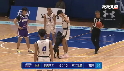 影｜笑死！UBA比赛打到一半　竟有黑狗「乱入」