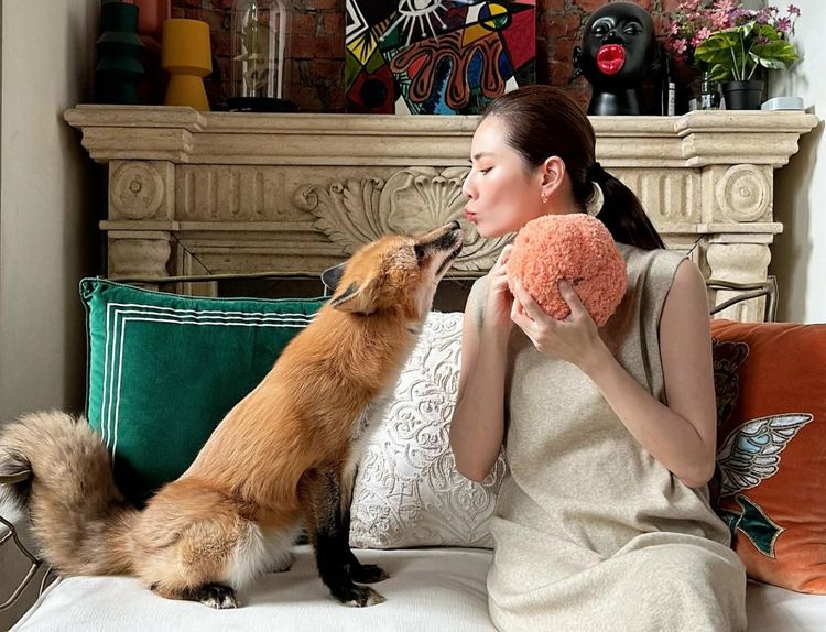 前名模靠「假公益」吞上億捐款　羈押224天！今500萬交保