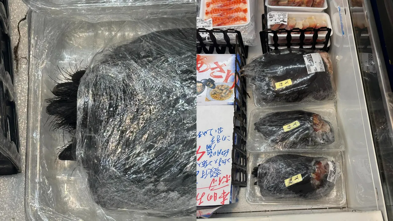 日本超市冷冻库直接贩售完整熊掌。翻摄Threads