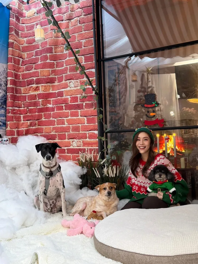 王宇婕與愛犬們。翻攝自王宇婕臉書