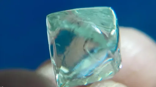 发了！好友相偕挖到15克拉巨钻　估价173万元喜出望外