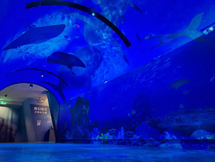 長達15米的「沈浸式海底隧道」運用無接縫投影技術重現沉船遺址魚群動態。館方提供