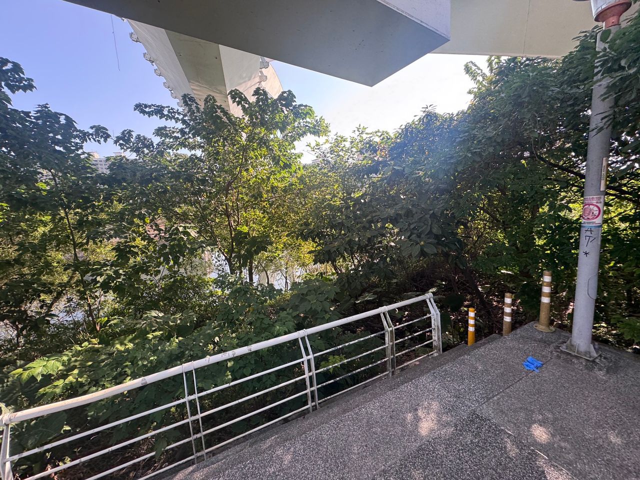 離奇!新店陽光橋下情侶倒臥酒瓶旁1死1命危