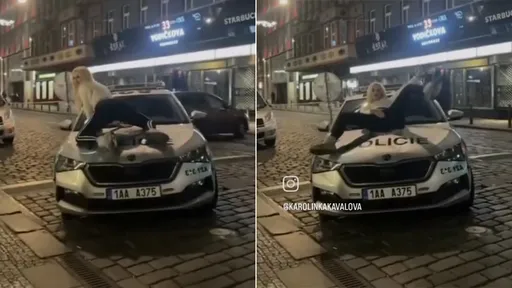 影片｜辣妹爬上警车拍撩人片　警怒罚：要跳脱衣舞别污了我的车